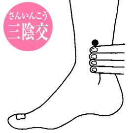 三陰交のイメージ