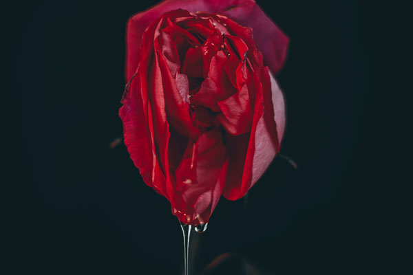 女性は膣派とクリトリス派に分けられると聞いたことがあります。私はクリトリスでは感じることができるのですが、膣ではあまり感じません。どうしたら、もっと膣で感じるようになるでしょうか。(40代・女性)