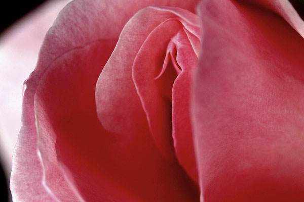 VOL.2女磨きのコツその2クリトリスの神秘を知る。